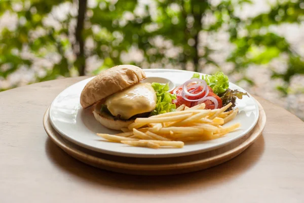 Burger au fromage avec frites — Photo