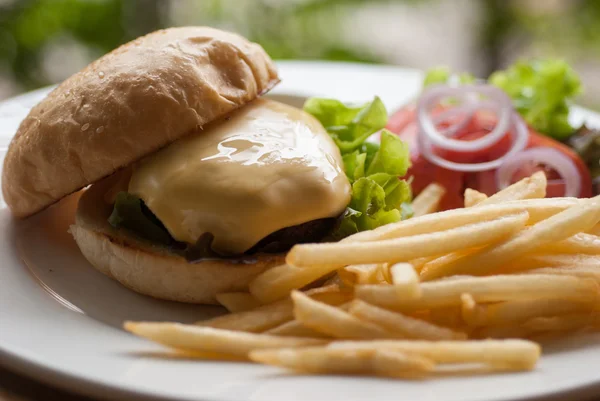 Burger au fromage avec frites — Photo