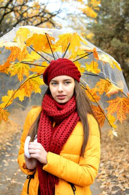 Sarı ceketli genç bir kızın dikey sonbahar portresi ve akçaağaç yapraklarından yapılmış bir şemsiyenin arka planında kırmızı bir eşarp. Parlak sonbahar modası