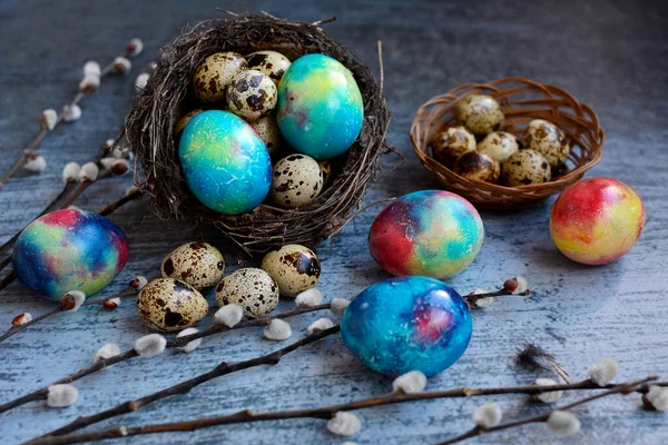 Close Colored Dyed Chicken Quail Eggs Nest Pussy Willow Branches — Foto Stock