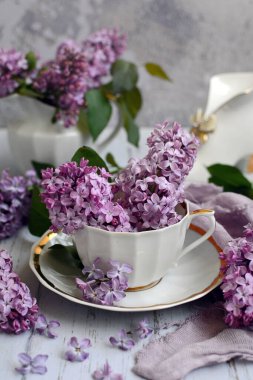 Dikey bahar kompozisyonu. Porselen beyaz bir fincanda leylak çiçekleri. Yakın plan.