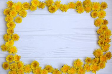 Açık tahta zemin ve parlak sarı karahindiba çiçekleri. Yaz sarısı, basit bir arkaplan ve metin olarak çiçek çerçevesi. Düzen Düzeni. Boşluğu kopyala.