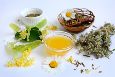 Beyaz arka planda bitkilerin ve otların bileşimi. Bitkisel tıp konsepti.