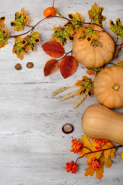 Composição vertical do outono. Fundo de madeira claro com abóboras, folhas de laranja, trigo, bolotas e castanhas — Fotografia de Stock