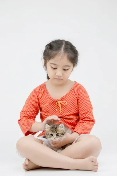 Pequeña chica asiática abrazando precioso persa gatito en aislado — Foto de Stock
