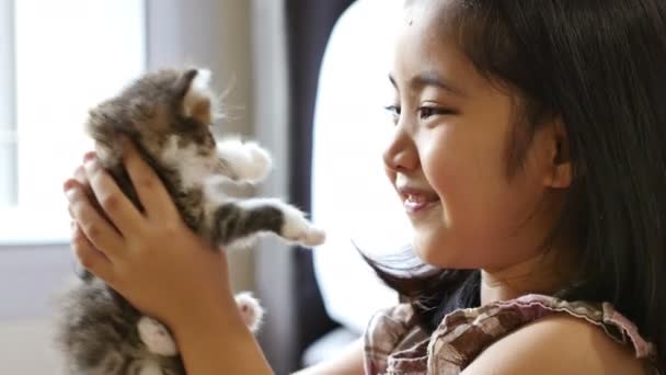 작은 아시아 아이 그녀의 고양이 연주 — 비디오