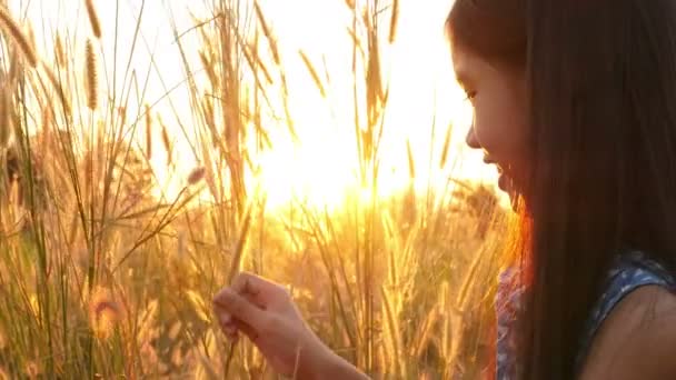 Asiática chica con saludable pelo largo disfrutando en el prado . — Vídeo de stock