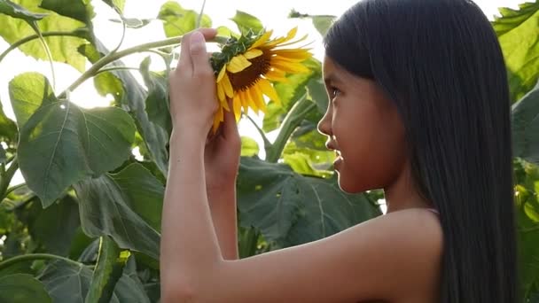 Uma menina asiática bonito beijando girassol em um campo aberto com luz solar — Vídeo de Stock