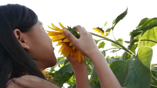 Cute girl azjatyckich całowanie słonecznika w otwartym polu z promieni słonecznych, powolny ruch strzał — Wideo stockowe