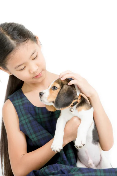 Glücklich asiatische Mädchen spielen mit Beagle Welpe — Stockfoto