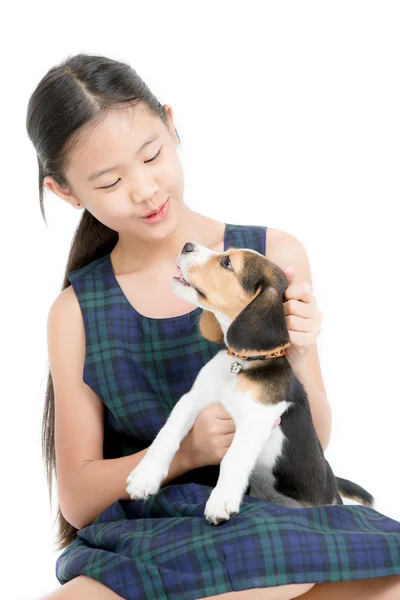 Glücklich asiatische Mädchen spielen mit Beagle Welpe — Stockfoto