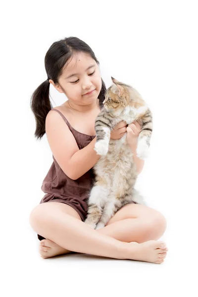 Glücklich asiatische Mädchen spielen mit tabby persian cat — Stockfoto