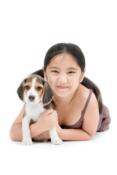 Glücklich asiatische Mädchen spielen mit Beagle Welpe lizenzfreie Stockbilder
