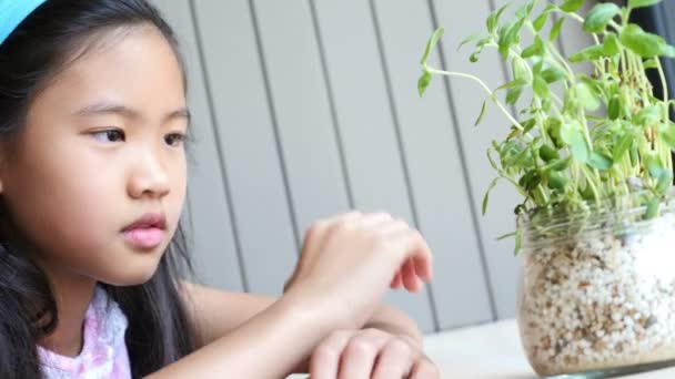 4K: Primo piano del bambino asiatico con una piccola pianta verde — Video Stock