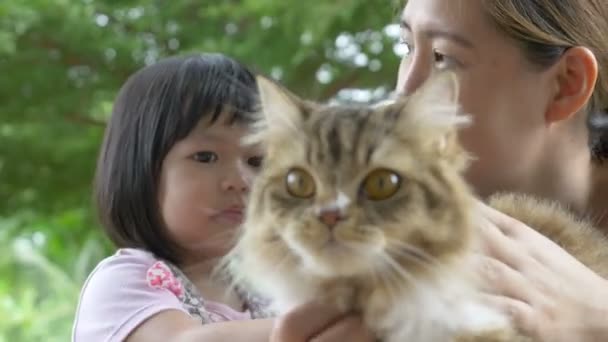 4K: Милая маленькая азиатская девочка и мама играют с персидской кошкой — стоковое видео