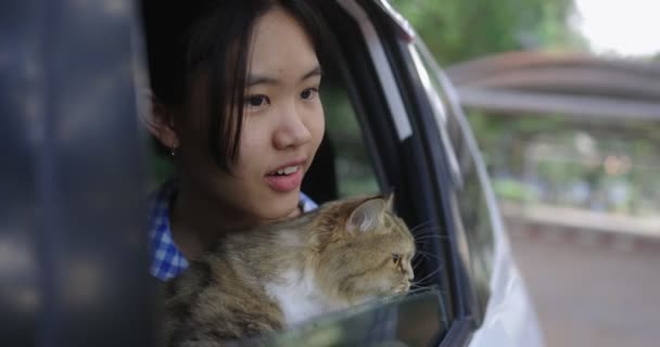 Lovely Asian Girl Holds Cat Her Lap Passenger Seat Driving — Stok Video