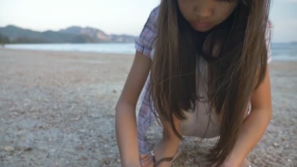 Азіатський дитини збір снарядів на пляжі — стокове відео