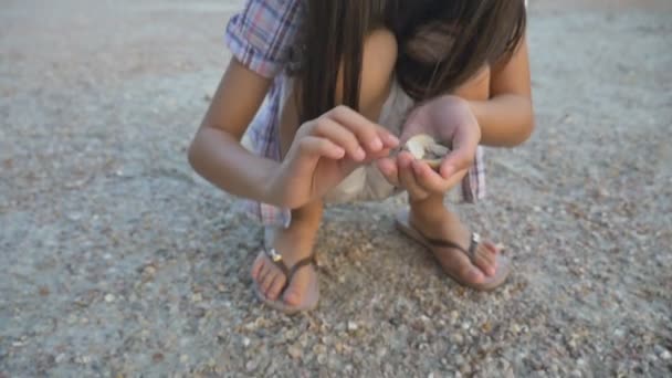 Asiatisches Kind pflückt Muscheln am Strand — Stockvideo