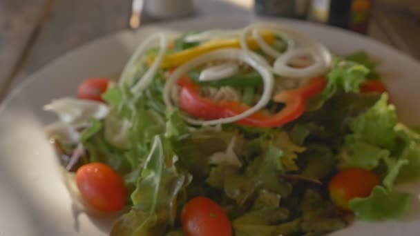 Gesunde Kost frischer Thunfischsalat — Stockvideo