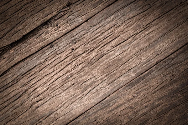 The texture of bark wood — Stock Photo, Image