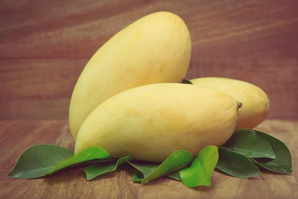 Fresh colorful tropical mangoes with green leaf — Stock Photo, Image