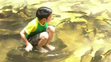 4k ,Genç asya sevimli çocuk oturup nehirde oynamak .