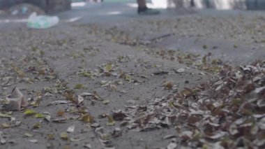 Asyalı hizmetçi Sonbaharda yere düşen yaprakları süpürüyor