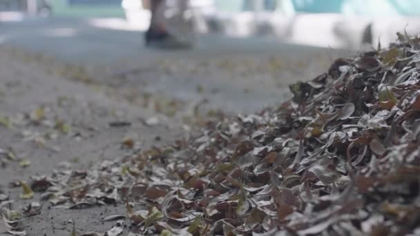 Asiatisches Hausmädchen Fegt Herbst Die Herabgefallenen Blätter Auf Den Boden — Stockvideo