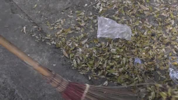 Close Broom Sweeping Fallen Leaves Floor Autumn — Stock Video