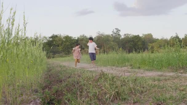 Frères Sœurs Asiatiques Courir Jouer Avec Plaisir Milieu Nature Soir — Video