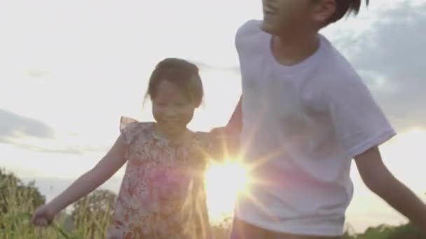 Asyalı Kardeşlerim Güneşin Batmak Üzere Olduğu Akşam Doğanın Ortasında Koşup — Stok video
