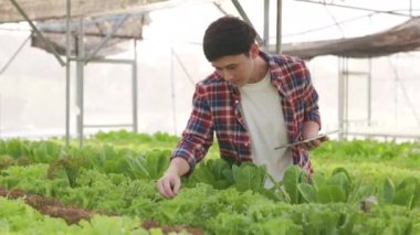 Akıllı çiftlik ve tarım teknolojisi kavramı. Mart genç Asyalı çiftçi seradaki organik bitki bahçesinin kalitesini ve miktarını kontrol etmek için tablet kullanıyor. .