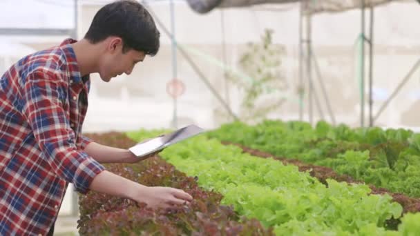 Ferme Intelligente Concept Technologie Agricole Mart Jeune Agriculteur Asiatique Utilisant — Video