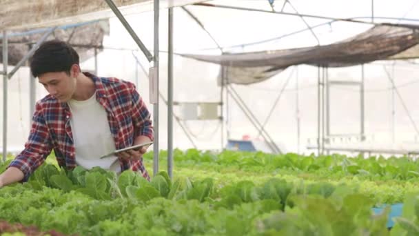 Granja Inteligente Concepto Tecnología Granja Mart Joven Agricultor Asiático Utilizando — Vídeo de stock