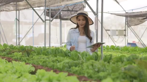 Smart Giovane Agricoltore Asiatico Utilizzando Tablet Controllare Qualità Quantità Orto — Video Stock