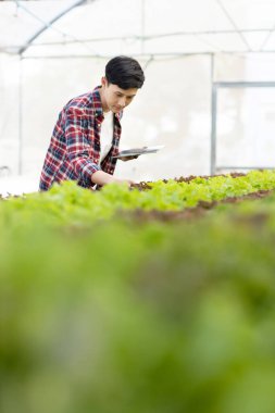 Akıllı çiftlik ve tarım teknolojisi kavramı. Mart genç Asyalı çiftçi seradaki organik bitki bahçesinin kalitesini ve miktarını kontrol etmek için tablet kullanıyor. .