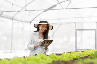 Akıllı çiftlik ve tarım teknolojisi kavramı. Mart genç Asyalı çiftçi seradaki organik bitki bahçesinin kalitesini ve miktarını kontrol etmek için tablet kullanıyor. .