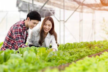 Akıllı çiftlik ve tarım teknolojisi kavramı. Mart genç Asyalı çiftçi seradaki organik bitki bahçesinin kalitesini ve miktarını kontrol etmek için tablet kullanıyor. .