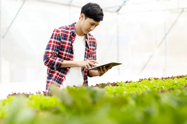 Smart farm and farm technology concept.Smart young asian farmer  using tablet to check quality and quantity of organic hydroponic vegetable garden at greenhouse .