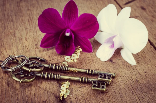 Vintage keys with orchaid flowe — Stock Photo, Image