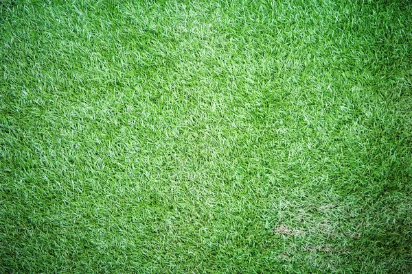 Plastik yeşil çim dokusu — Stok fotoğraf