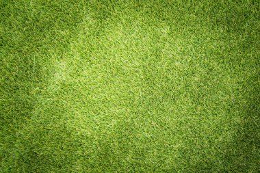 yeşil çim dokusu 