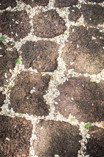 Kamienny chodnik tło uzwojenie — Zdjęcie stockowe