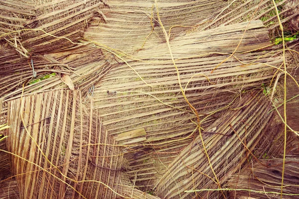 Textura del fondo de la hoja de plam — Foto de Stock