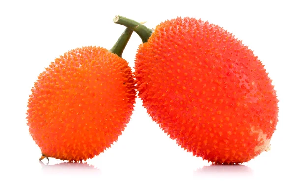 Baby Jackfruit on white background — Stock Photo, Image