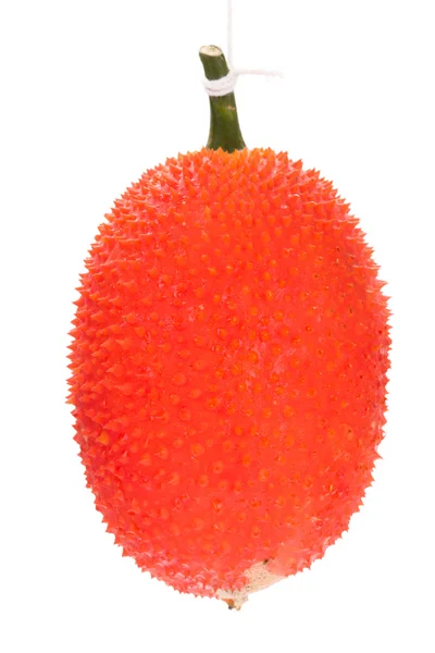 Baby Jackfruit on white background — Stock Photo, Image