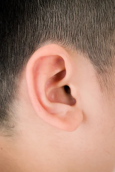 Human ear closeup — Stock Photo, Image