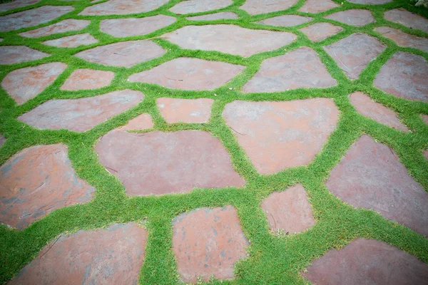 The Stone block walk path in the park — Stock Photo, Image