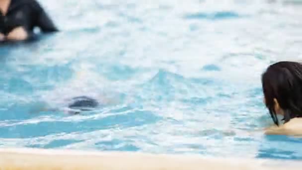 Pequeña chica linda asiática practica natación con su madre. Familia asiática . — Vídeo de stock