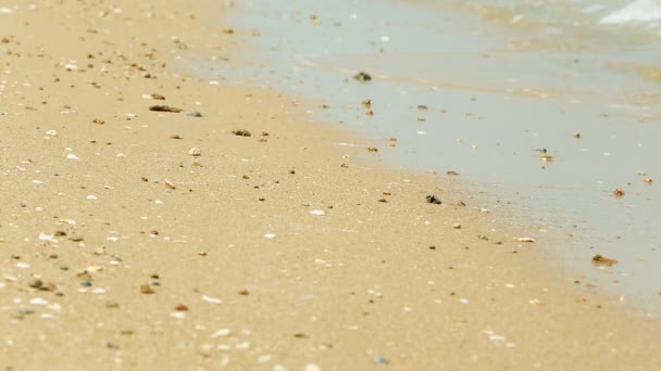 Dalgalar deniz kum plaj tatil boyunca hd arka plan. — Stok video